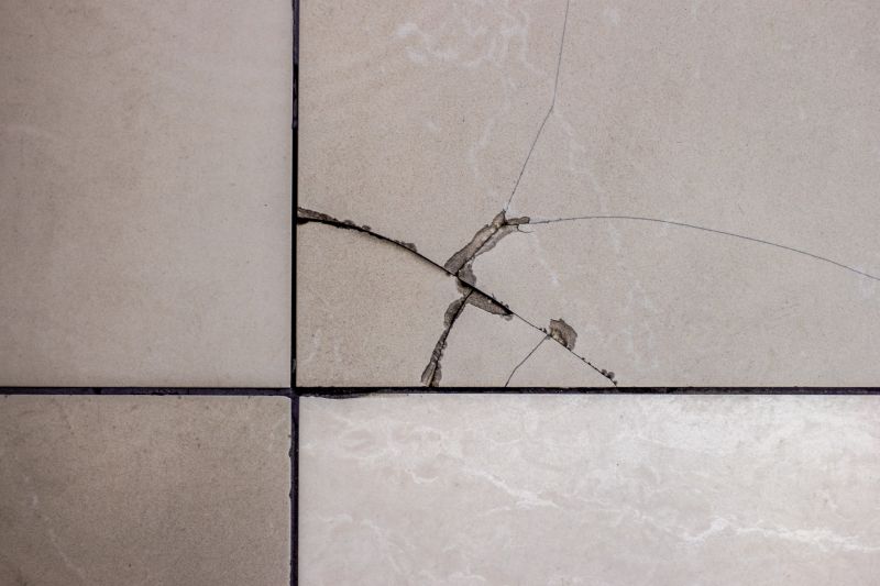 Tile Repairs